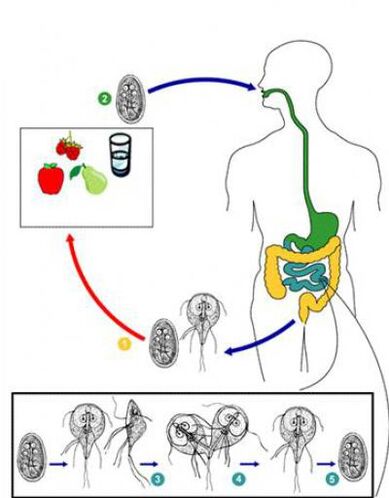 How to get infected